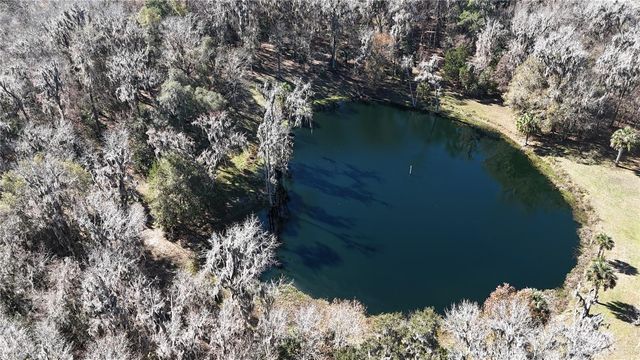 15551 NW HIGHWAY 225, Reddick, FL 32686