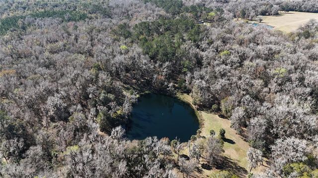 15551 NW HIGHWAY 225, Reddick, FL 32686