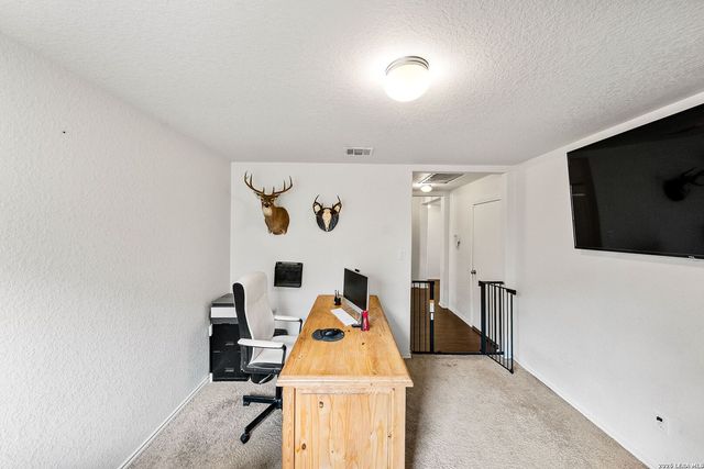 32141 Giant Oak, Bulverde, TX 78163