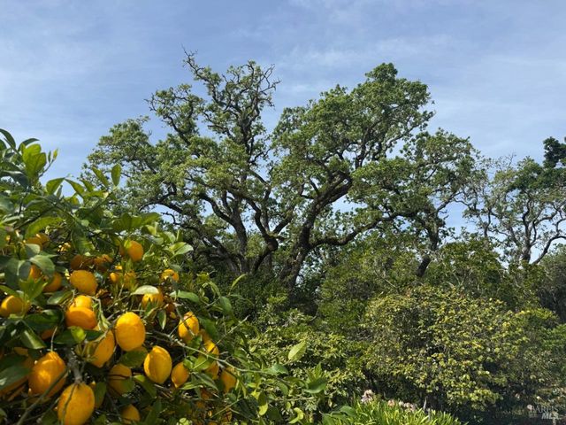 6410 Bennett Valley Rd, Santa Rosa, CA 95404