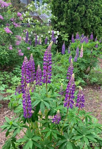 418 Albert Street, Marquette, MI 49855