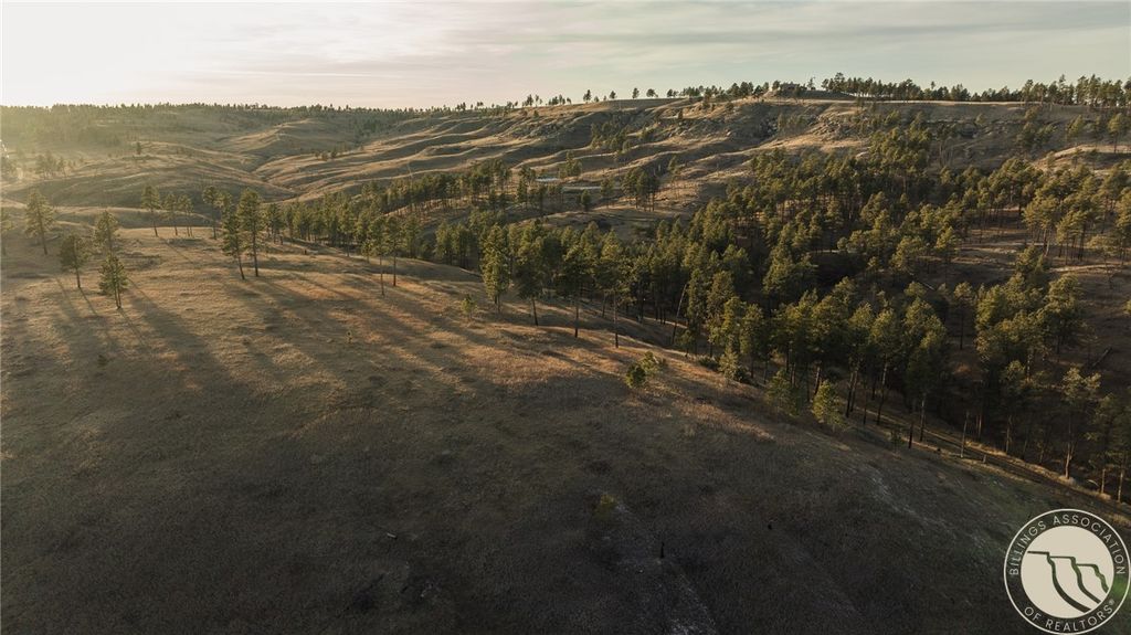 TBD Blue Rd, Roundup, MT 59073 photo 5