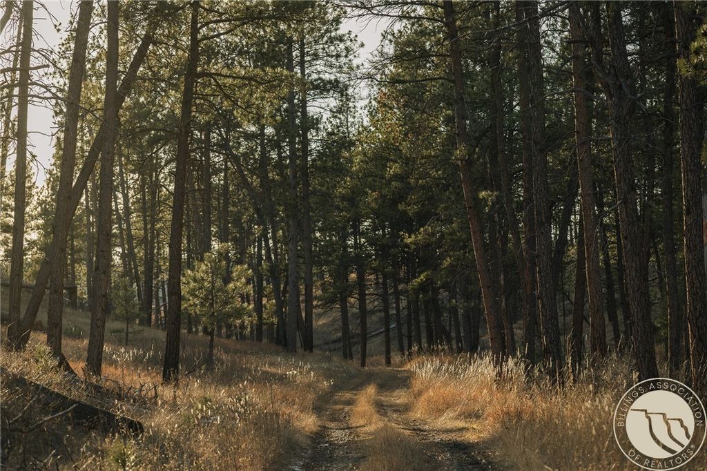 TBD Blue Rd, Roundup, MT 59073 photo 8