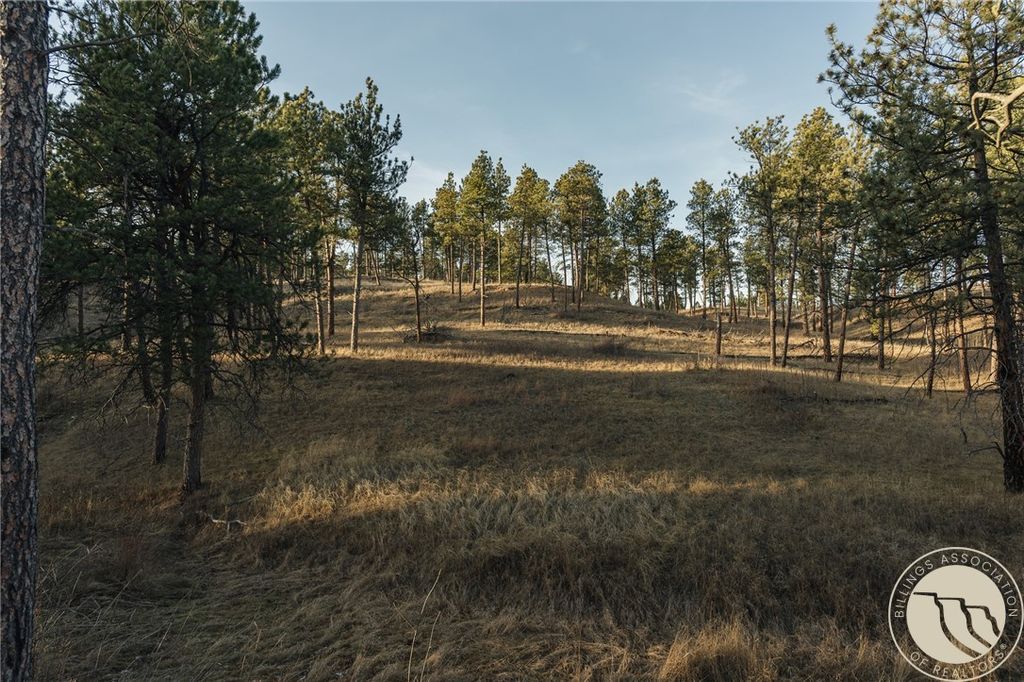 TBD Blue Rd, Roundup, MT 59073 photo 9