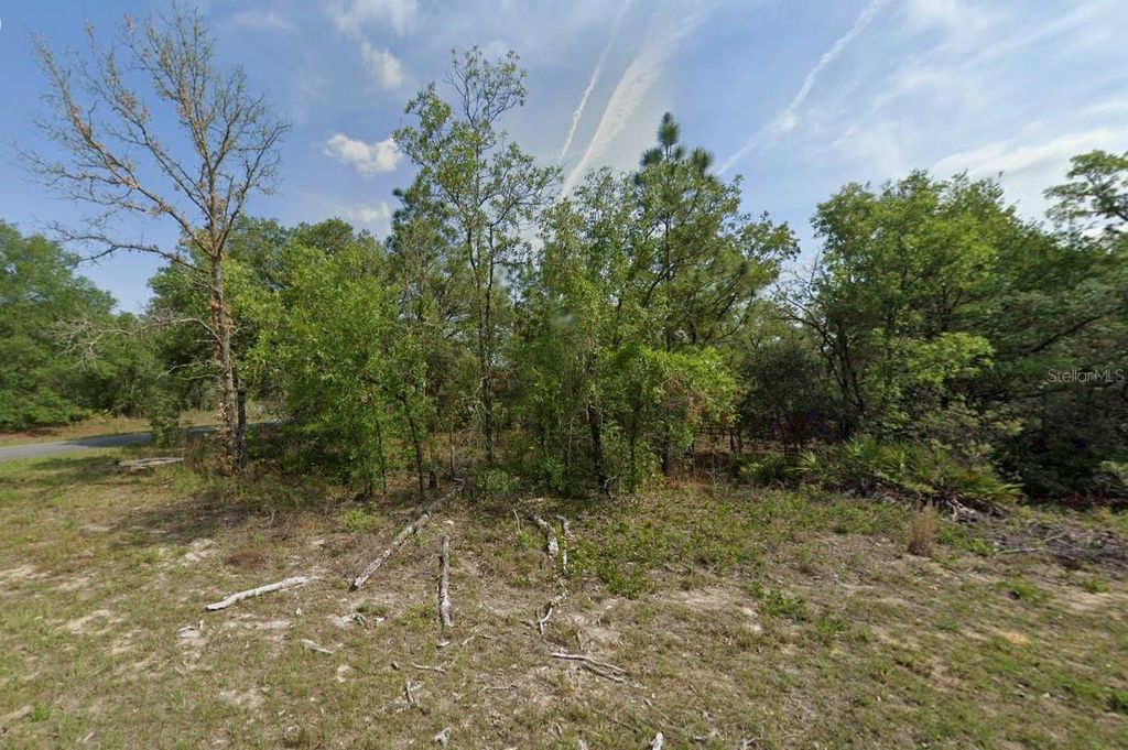 1389 W PENDLETON STREET, Dunnellon, FL 34434