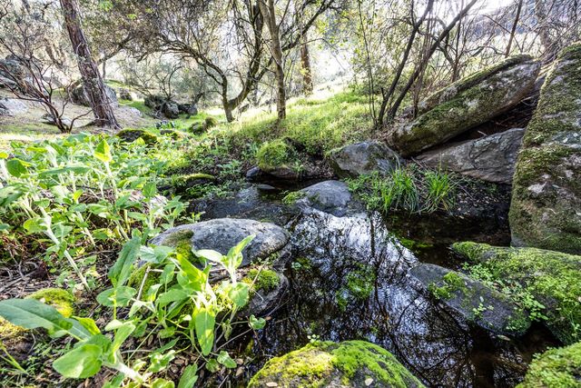 44410 Quail Court, Coarsegold, CA 93614