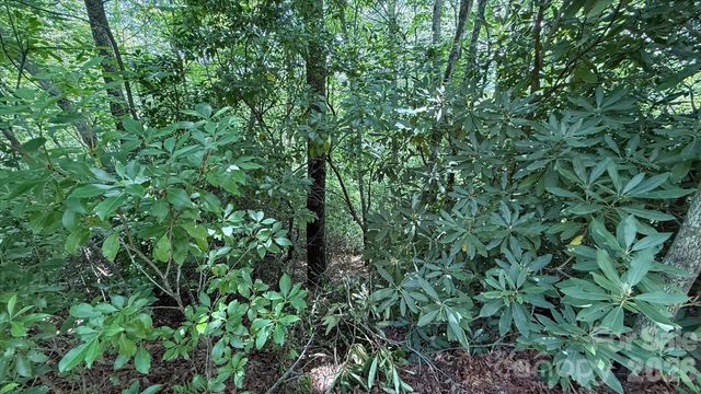 TBD Stone Drive L40, Brevard, NC 28712