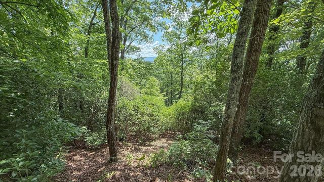 TBD Stone Drive L40, Brevard, NC 28712