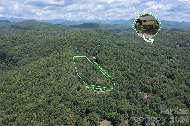 TBD Stone Drive L40, Brevard, NC 28712