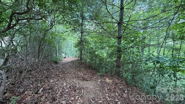 TBD Stone Drive L40, Brevard, NC 28712