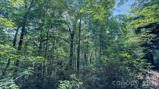 TBD Stone Drive L40, Brevard, NC 28712