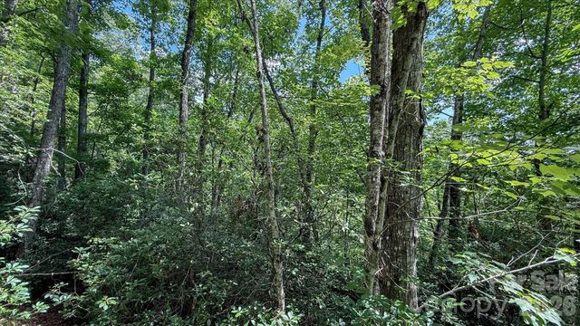 TBD Stone Drive L40, Brevard, NC 28712