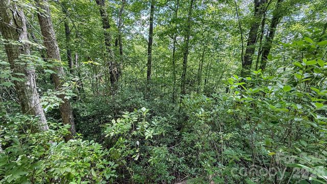 TBD Stone Drive L40, Brevard, NC 28712