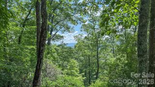 TBD Stone Drive L40, Brevard, NC 28712