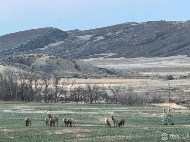 3310 W County Road 80, Wellington, CO 80549