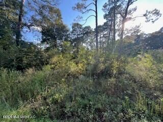 Persimmon Street, Ocean Springs, MS 39564