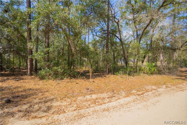 5500 S Cherokee Terrace, Inverness, FL 34452