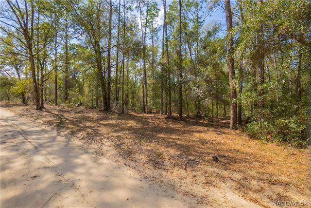 5500 S Cherokee Terrace, Inverness, FL 34452