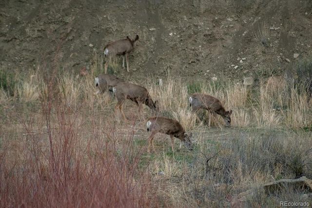 107 County Road 378, Rye, CO 81069