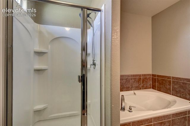 863 Red Thistle View, Colorado Springs, CO 80916