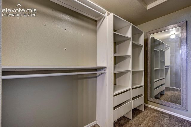 863 Red Thistle View, Colorado Springs, CO 80916