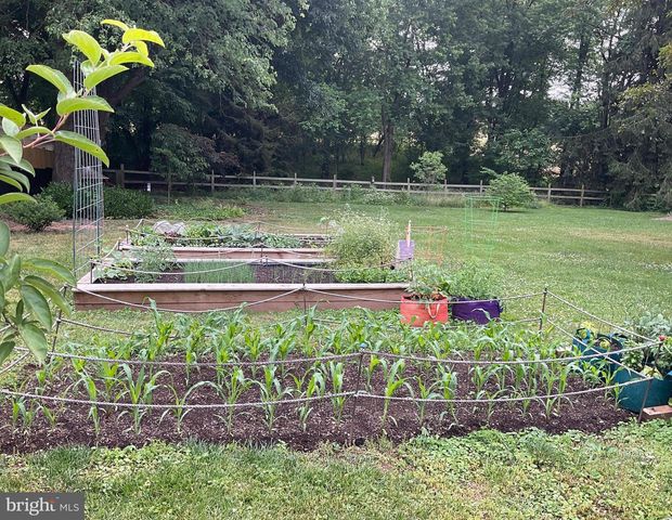 22325 NICHOLSON FARM RD, Dickerson, MD 20842