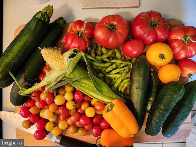 22325 NICHOLSON FARM RD, Dickerson, MD 20842