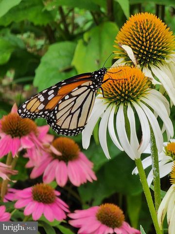 22325 NICHOLSON FARM RD, Dickerson, MD 20842