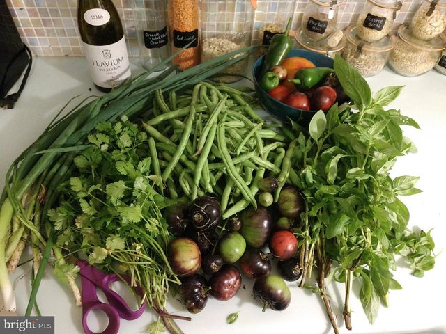 22325 NICHOLSON FARM RD, Dickerson, MD 20842