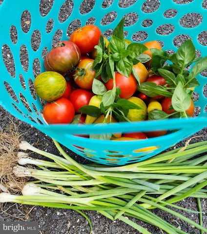 22325 NICHOLSON FARM RD, Dickerson, MD 20842