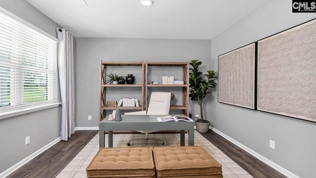 413 Leathertree Lane, Blythewood, SC 29016