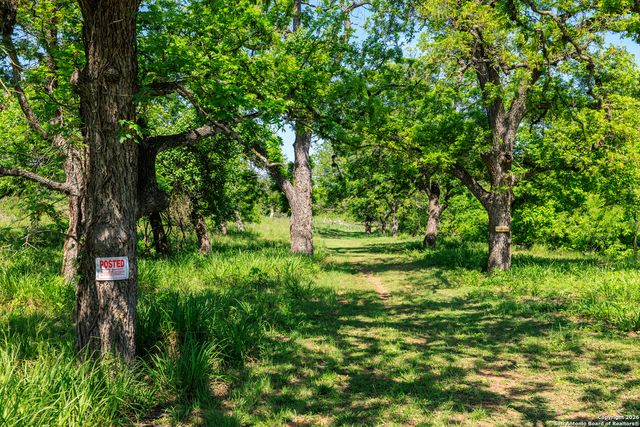 308 Oakhaven Lane, Fredericksburg, TX 78624