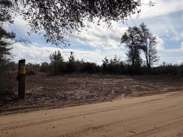 0 Harmon Williams Road, Mobile, AL 36608