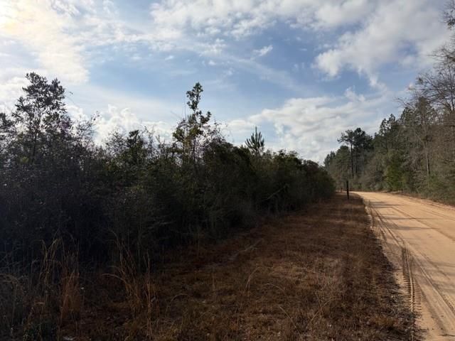 0 Harmon Williams Road, Mobile, AL 36608