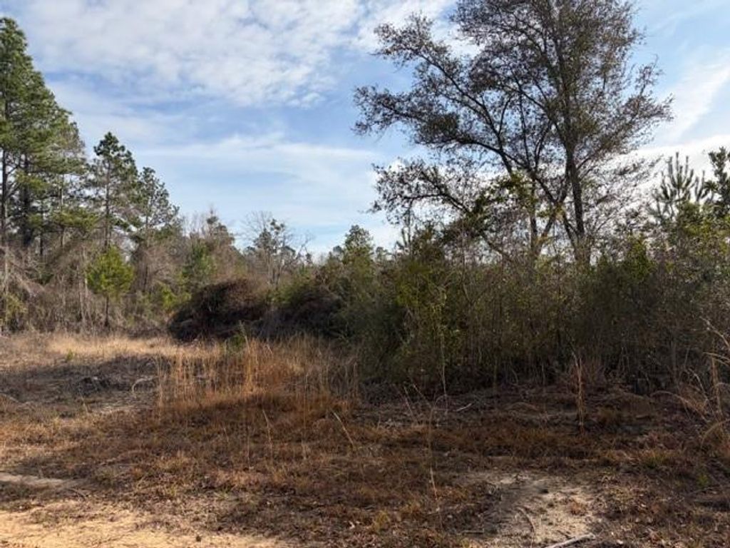 0 Harmon Williams Road, Mobile, AL 36608 — photo 3