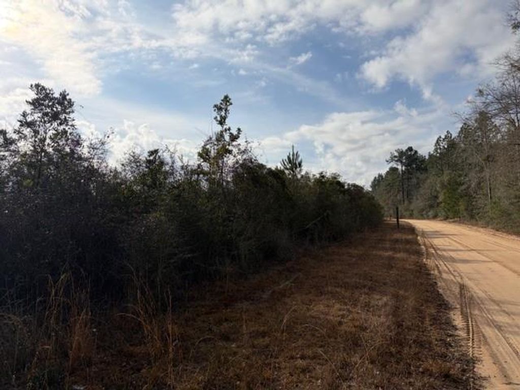 0 Harmon Williams Road, Mobile, AL 36608 — photo 4