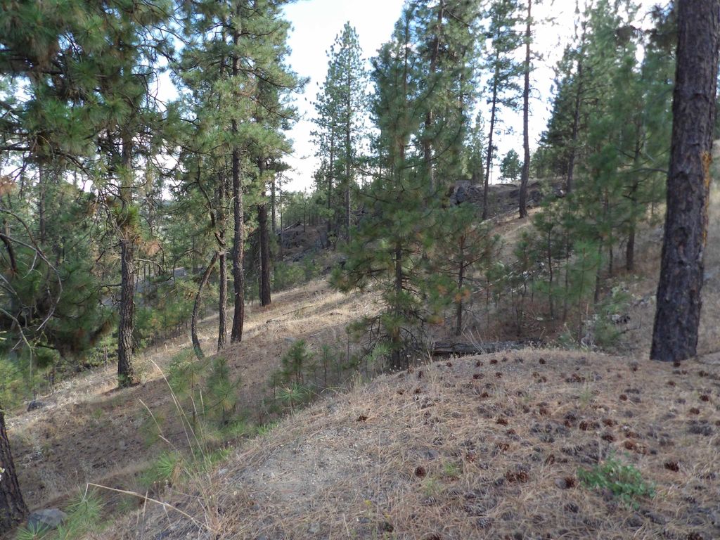 31905 E Ruffed Grouse Dr, Davenport, WA 99122 photo 11