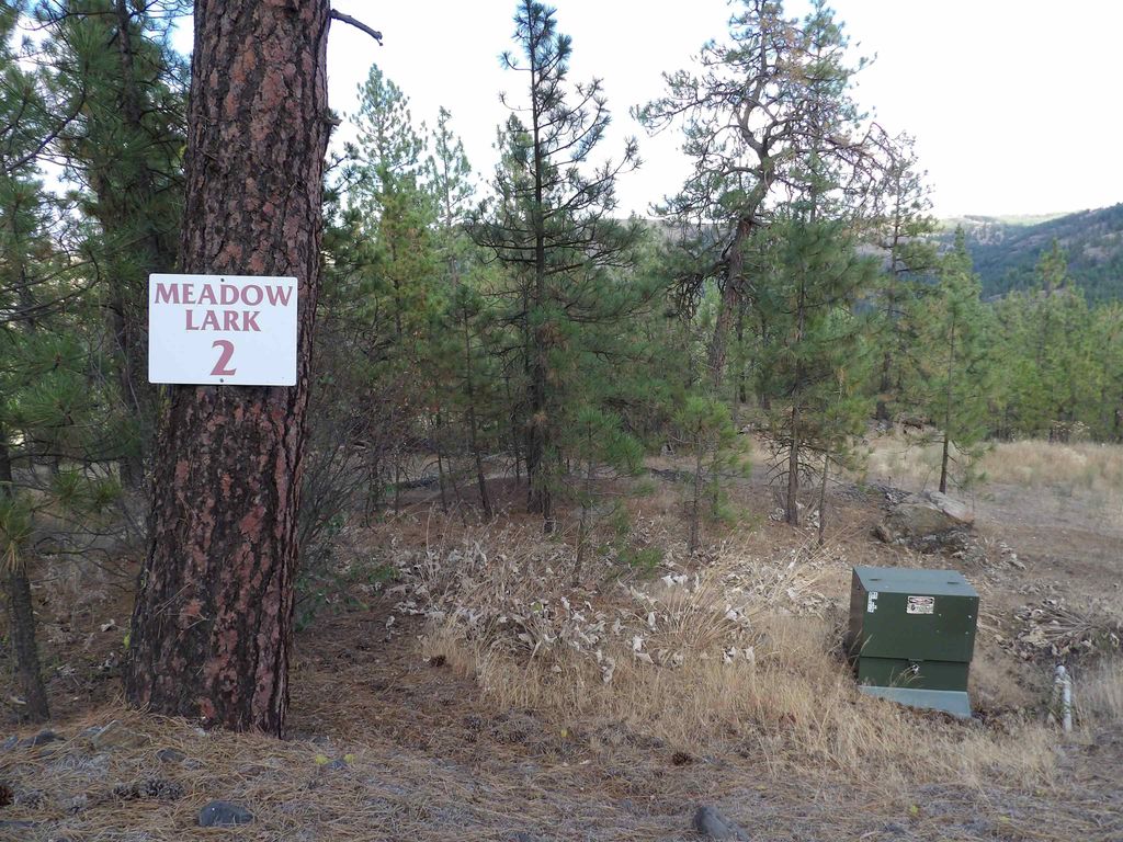 31905 E Ruffed Grouse Dr, Davenport, WA 99122 photo 13