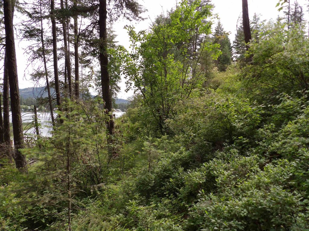 31905 E Ruffed Grouse Dr, Davenport, WA 99122 photo 14