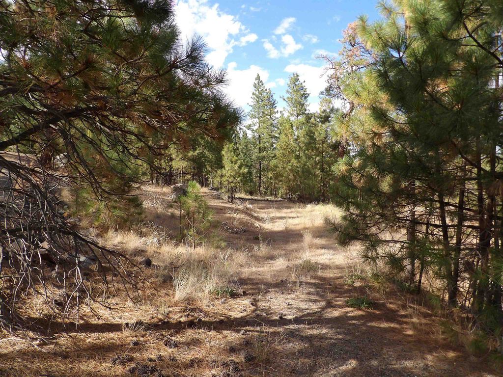 31905 E Ruffed Grouse Dr, Davenport, WA 99122 photo 10