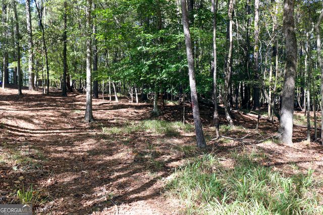 482 Buck Trail, Hoschton, GA 30548