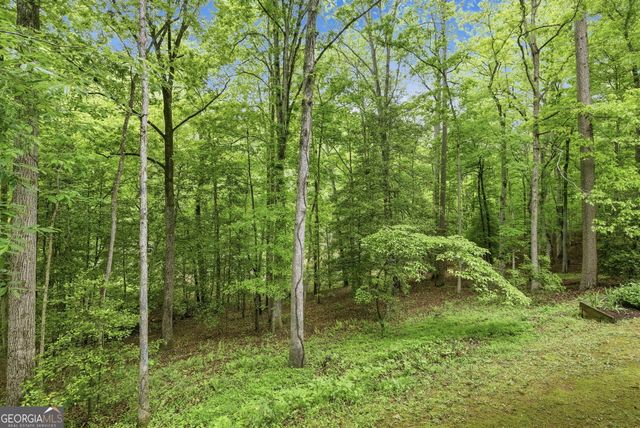 521 River Bridge Trail, Cornelia, GA 30531