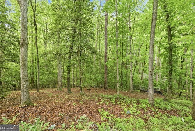 521 River Bridge Trail, Cornelia, GA 30531