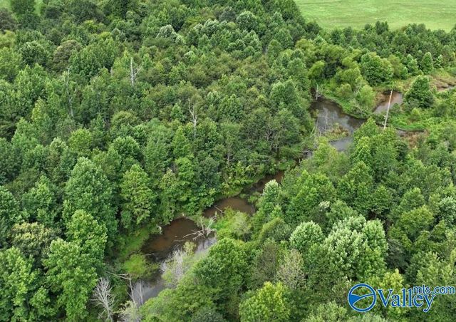 271 Myles Street, Albertville, AL 35951