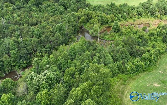 271 Myles Street, Albertville, AL 35951