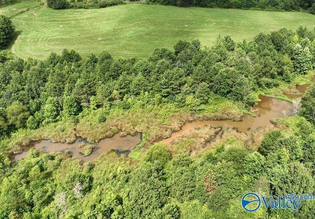 271 Myles Street, Albertville, AL 35951