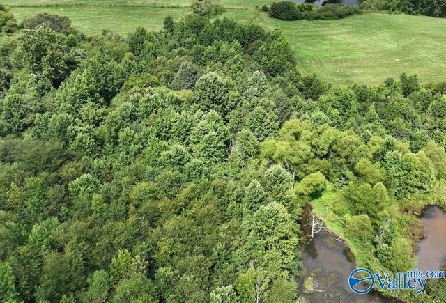 271 Myles Street, Albertville, AL 35951