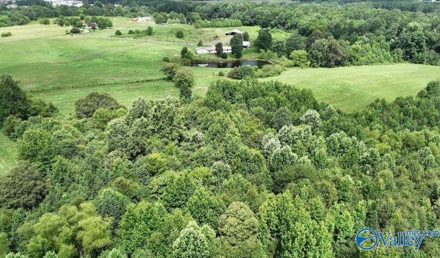 271 Myles Street, Albertville, AL 35951