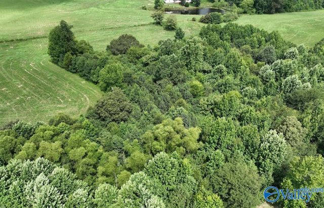 271 Myles Street, Albertville, AL 35951