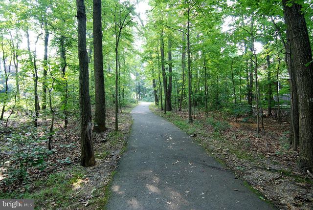 11719 DRY RIVER CT, Reston, VA 20191